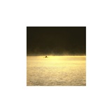 dailyPhoto6