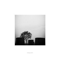 dailyPhoto1