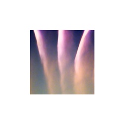 dailyPhoto23