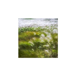 dailyPhoto31