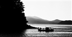 dailyPhoto7