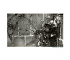 dailyPhoto5