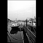 dailyPhoto20