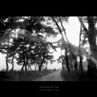 dailyPhoto3
