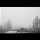 dailyPhoto14
