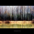 dailyPhoto12