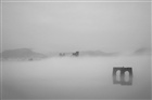 dailyPhoto3