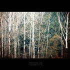 dailyPhoto32