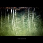 dailyPhoto2