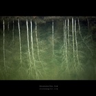 dailyPhoto20
