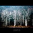 dailyPhoto19
