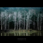 dailyPhoto7