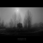 dailyPhoto3