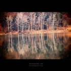 dailyPhoto10