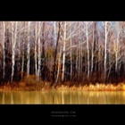 dailyPhoto6