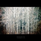 dailyPhoto1