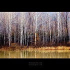 dailyPhoto10