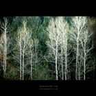 dailyPhoto30