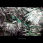 dailyPhoto23