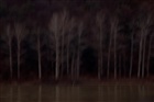 dailyPhoto4