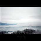 dailyPhoto11