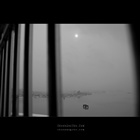 dailyPhoto17
