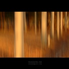 dailyPhoto14