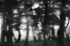 dailyPhoto40