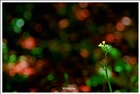 dailyPhoto32
