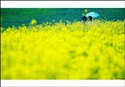 dailyPhoto20