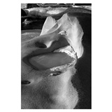 dailyPhoto35