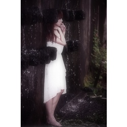 dailyPhoto12