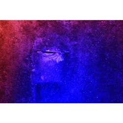 dailyPhoto36