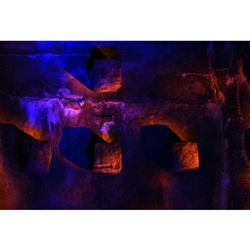 dailyPhoto4