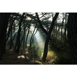 dailyPhoto21