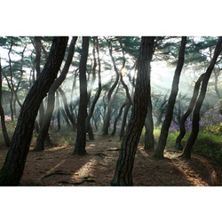 dailyPhoto33