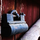 dailyPhoto29