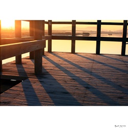 dailyPhoto37