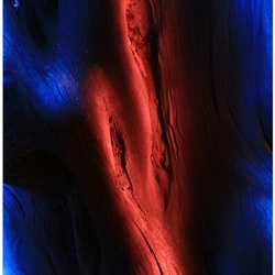 dailyPhoto27