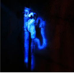 dailyPhoto33