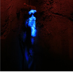 dailyPhoto11
