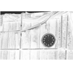 dailyPhoto7