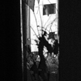 dailyPhoto19