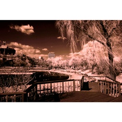 dailyPhoto40