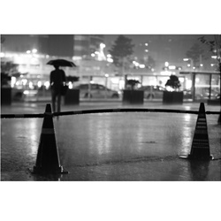 dailyPhoto39