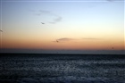 dailyPhoto38