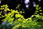 dailyPhoto23