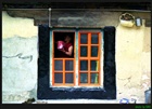 dailyPhoto1