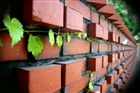 dailyPhoto14