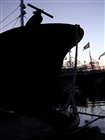 dailyPhoto9